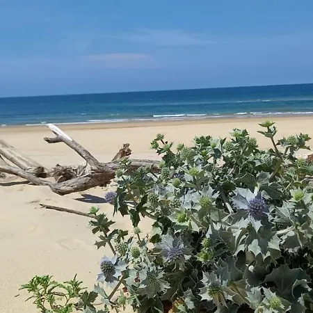 Pretty House With Double Terrace Near The Ocean Prázdninový dům Moliets-et-Maa