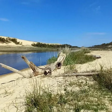 Pretty House With Double Terrace Near The Ocean Moliets-et-Maa